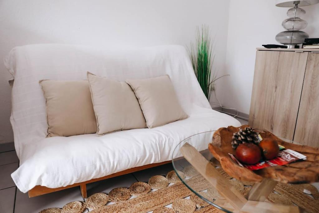 Echappee Chic Toulousaine Διαμέρισμα Τουλούζη Εξωτερικό φωτογραφία